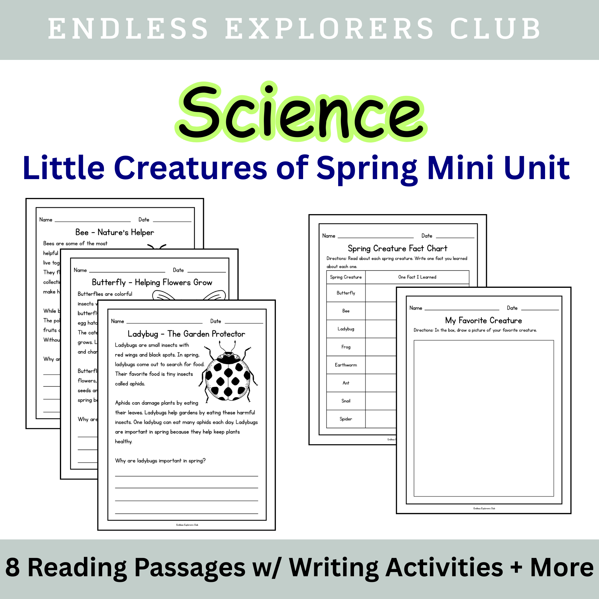 Little Creatures of Spring Mini Unit