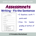 Assessment - Writing (Fix the Sentence)