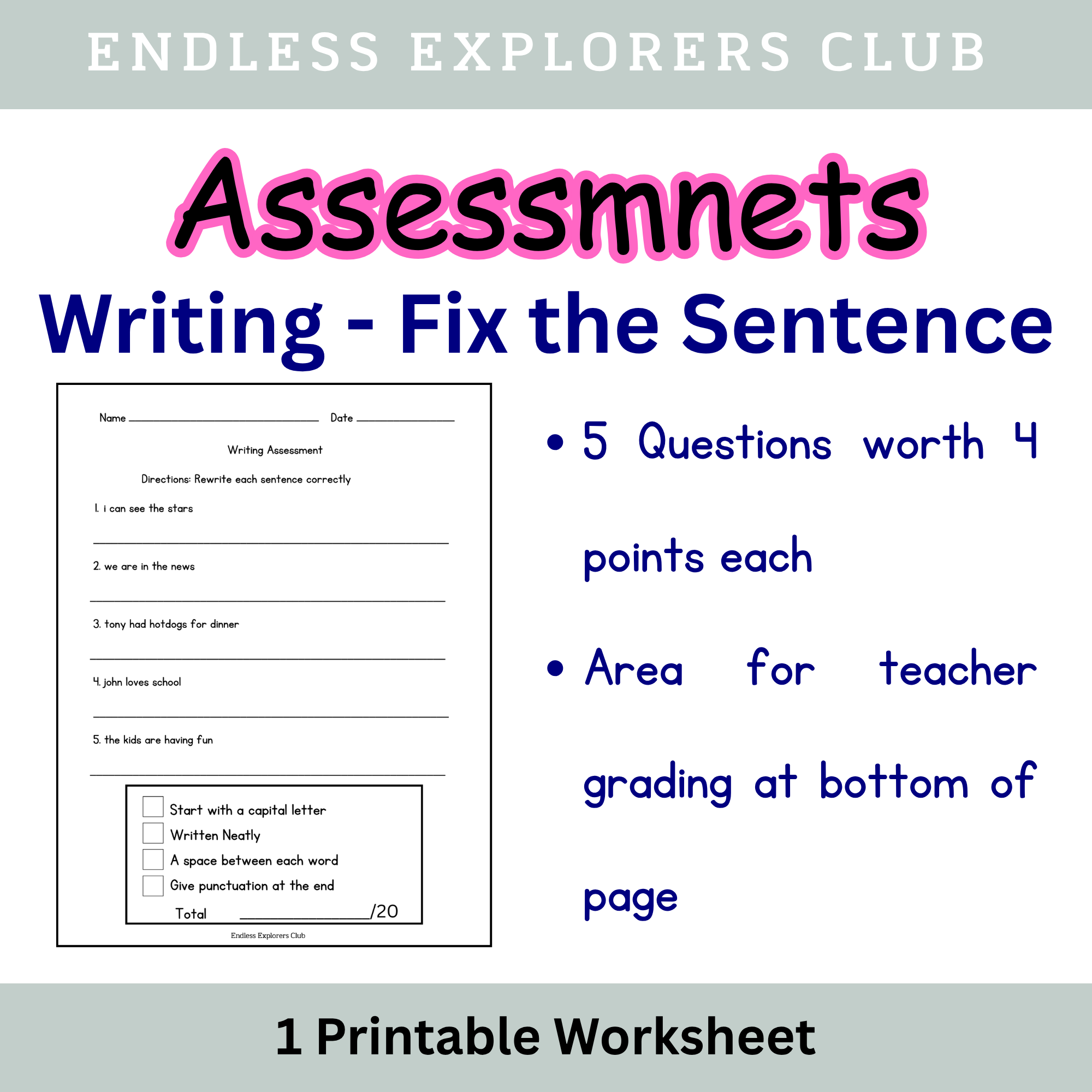 Assessment - Writing (Fix the Sentence)
